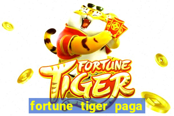 fortune tiger paga de madrugada